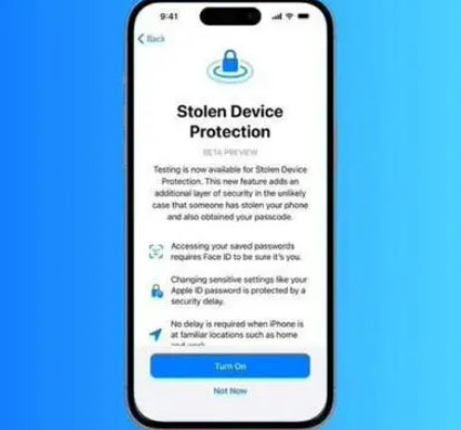 临桂苹果授权维修店分享被盗设备保护功能开启方法 