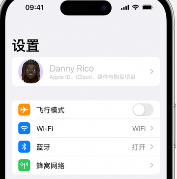 临桂appleID维修服务iPhone设置中Apple ID显示为灰色无法使用 