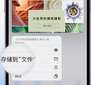 临桂apple维修中心分享iPhone文件应用中存储和找到下载文件