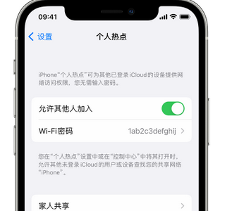 临桂apple服务站点分享iPhone上个人热点丢失了怎么办 