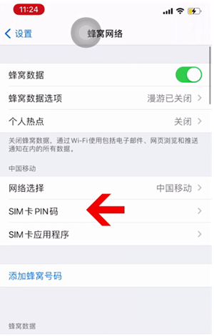 临桂苹果14维修网分享如何给iPhone14的SIM卡设置密码 