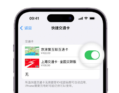 临桂apple维修点分享iPhone上更换Apple Pay快捷交通卡手绘卡面 