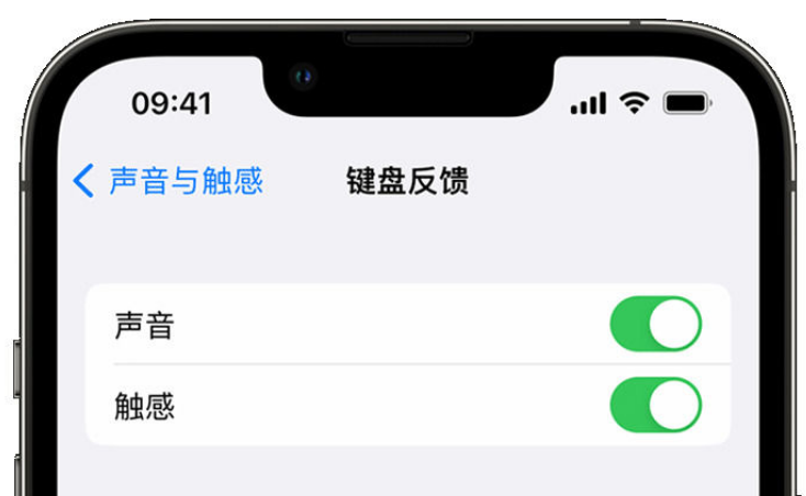 临桂苹果手机维修分享iPhone 14触感键盘使用方法 