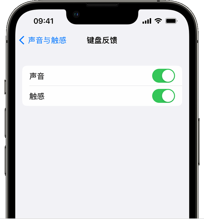 临桂苹果14维修店分享如何在 iPhone 14 机型中使用触感键盘 