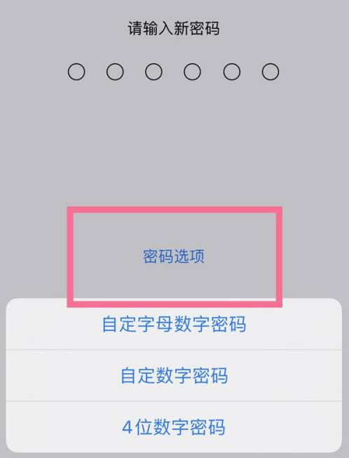 临桂苹果14维修分享iPhone 14plus设置密码的方法 