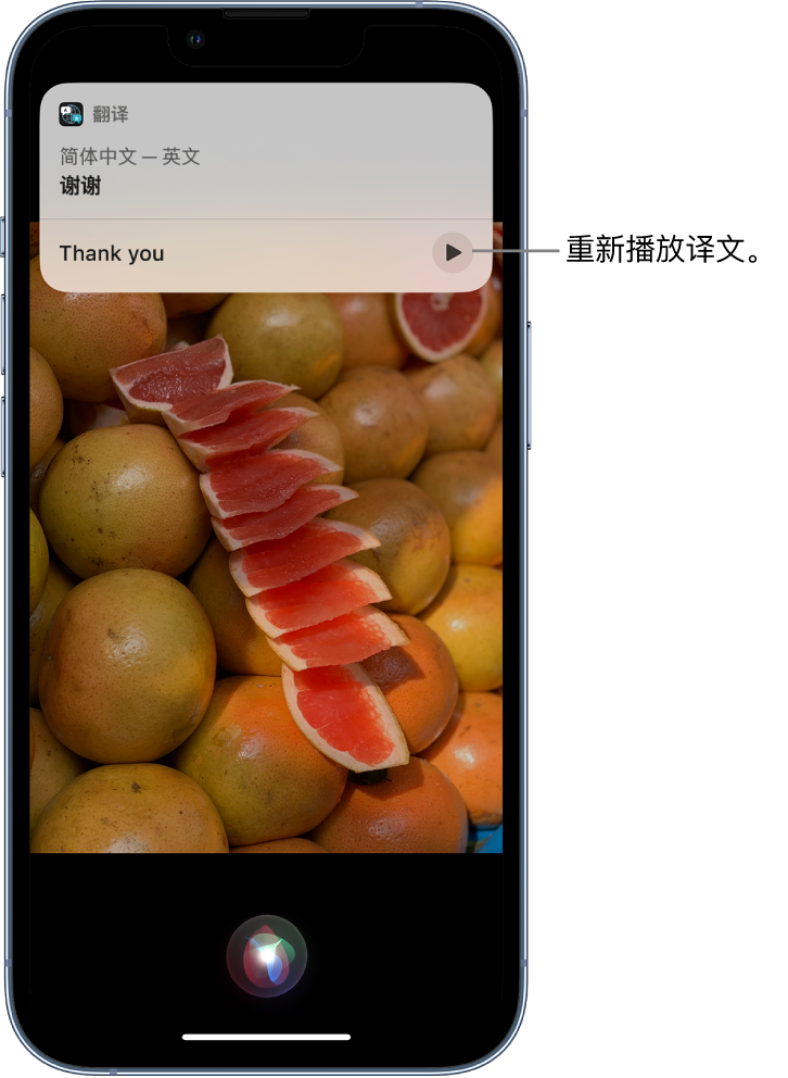 临桂苹果14维修分享 iPhone 14 机型中使用 Siri：了解 Siri 能帮你做什么 