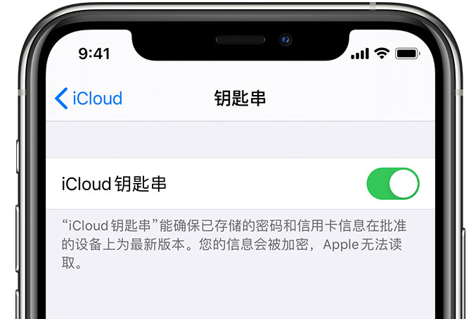 临桂苹果手机维修分享在 iPhone 上开启 iCloud 钥匙串之后会储存哪些信息 