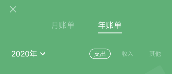 临桂苹果手机维修分享如何在 iPhone 上查看支付宝和微信年支出账单 